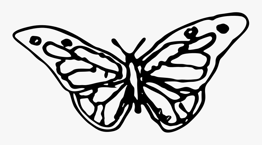 Hand Drawn Butterfly Silhouette - Hand Drawn Butterfly Png, Transparent Png