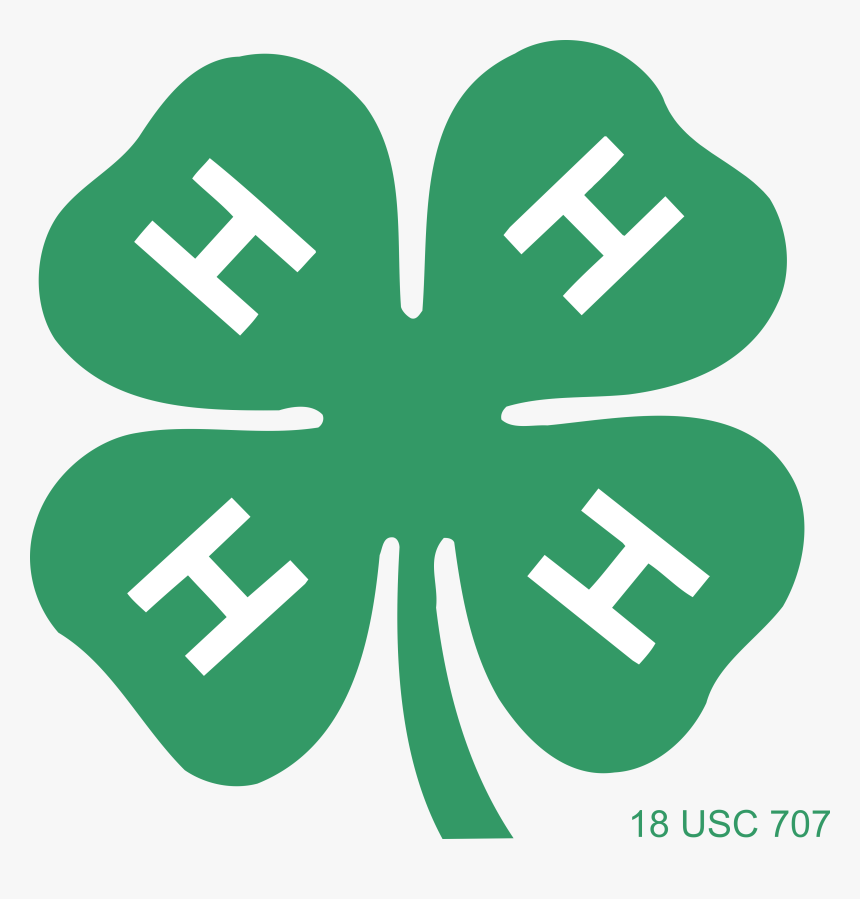 New London Ct 4 H Camp, HD Png Download