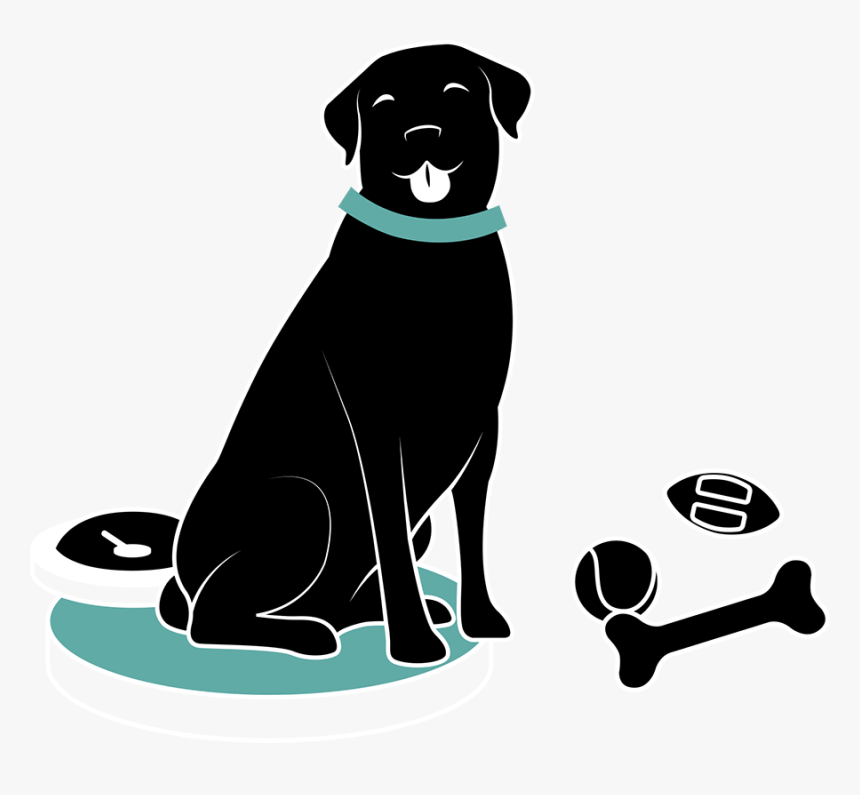 Dog Catches Something, HD Png Download