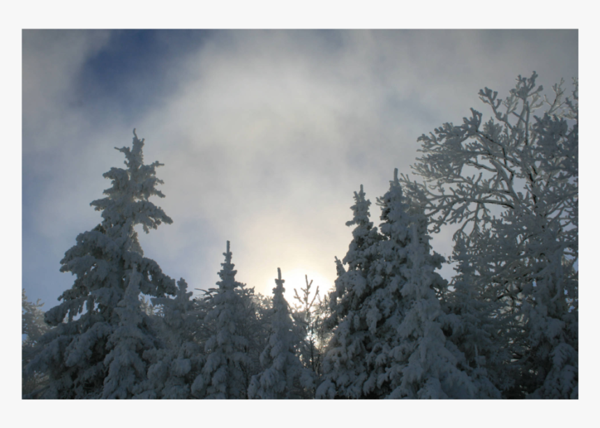 Merry Christmas From Dsc - Snow, HD Png Download