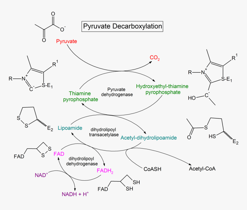 Diagram, HD Png Download