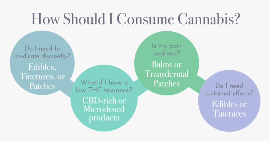Flow Chart -04 - Baby Ferret, HD Png Download