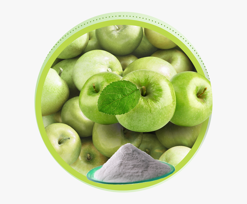 Apple Extract - Apple Fruits, HD Png Download