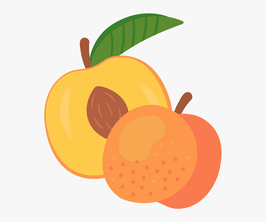 Peach Clipart, HD Png Download