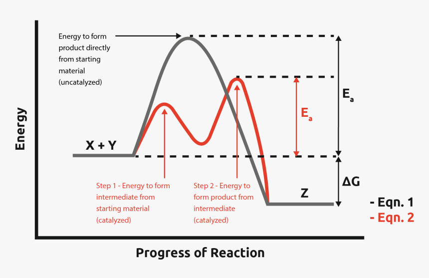 Solid Phase Catalysis In Continuous Flow Chemistry Intermediate