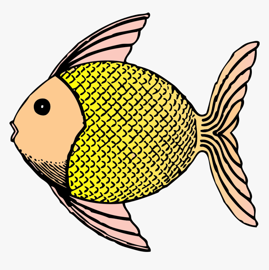 Tropical Fish Clipart - Scales Of Fish Clipart, HD Png Download