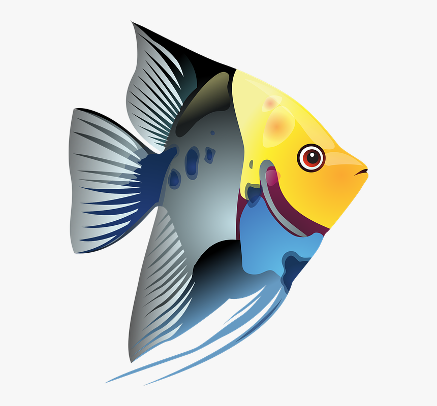 Tropical Fish Clipart, HD Png Download