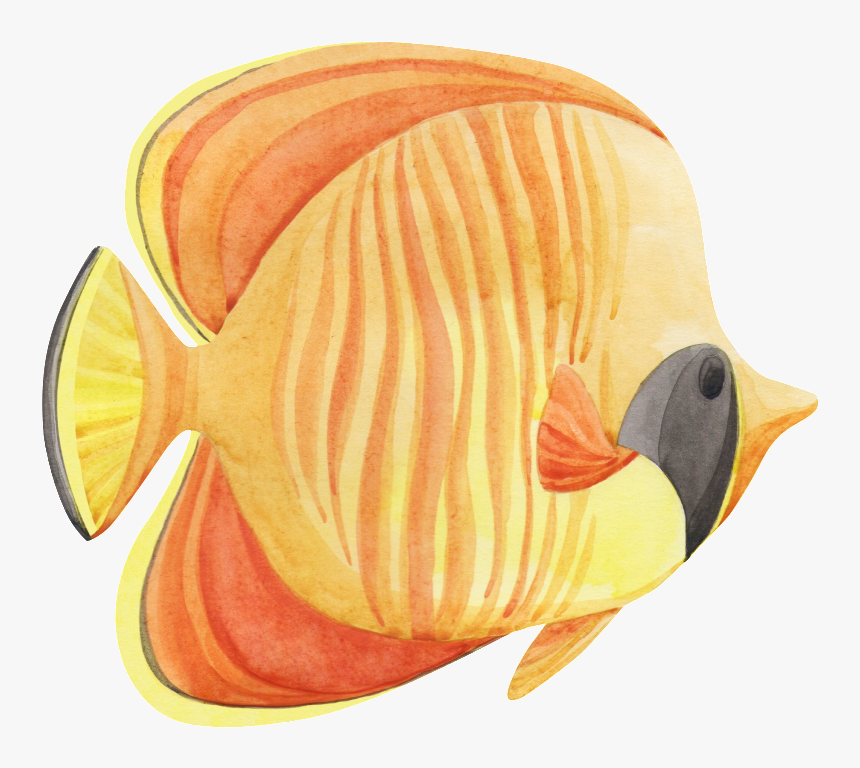 Hand Painted A Tropical Fish Png Transparent, Png Download
