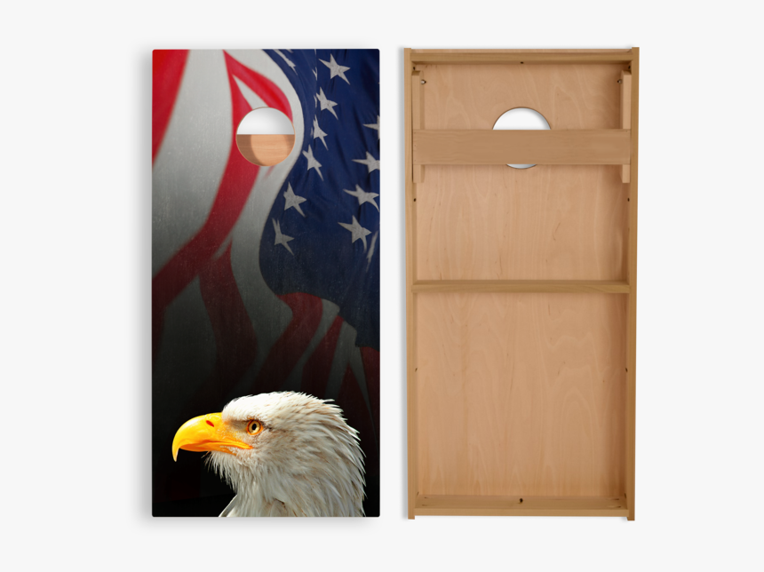 Bald Eagle, HD Png Download