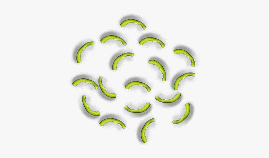 Illustration, HD Png Download