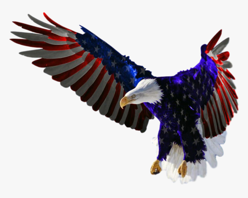 Features American Flag Eagle Clipped Rev - Eagle Flying American Flag, HD Png Download