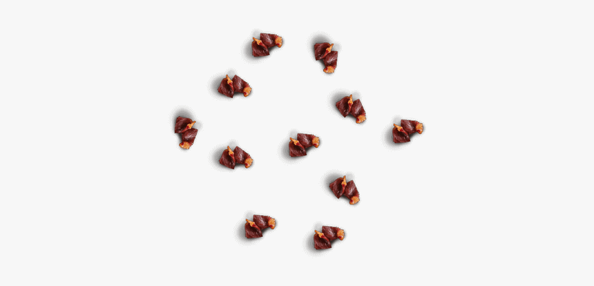 Nut, HD Png Download