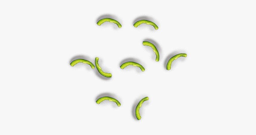 Illustration, HD Png Download