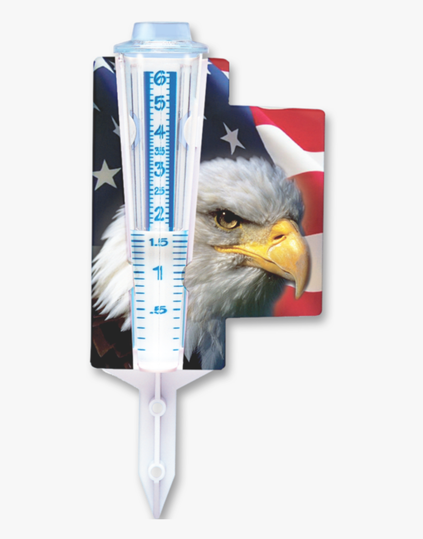 Bald Eagle With American Flag - Cbtis Fronterizo, HD Png Download