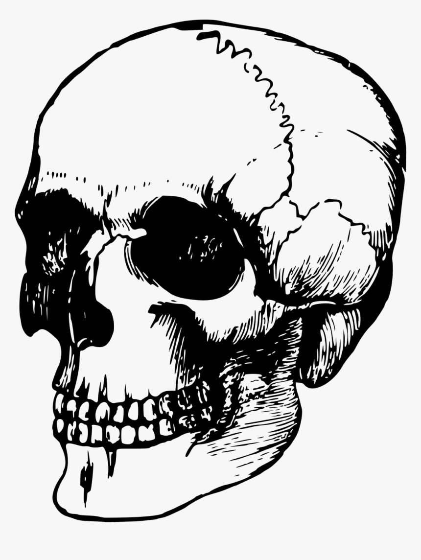 Dead Head Png, Transparent Png