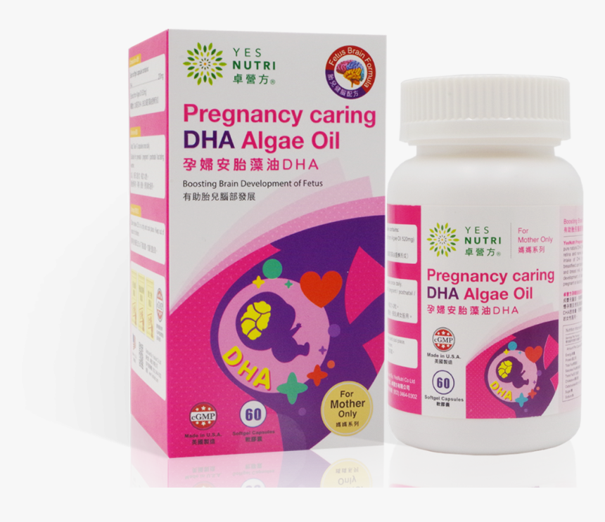 Fetus , Png Download - Animal, Transparent Png