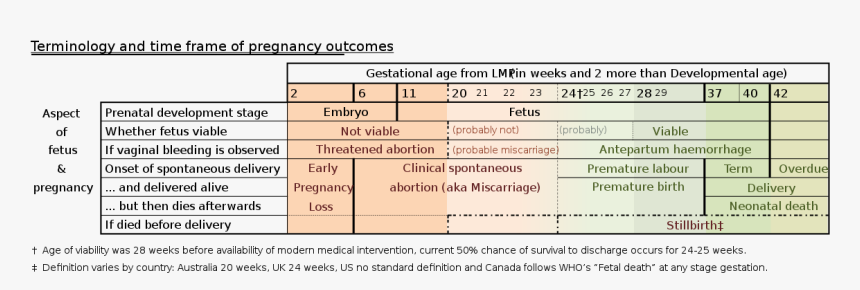 Number, HD Png Download