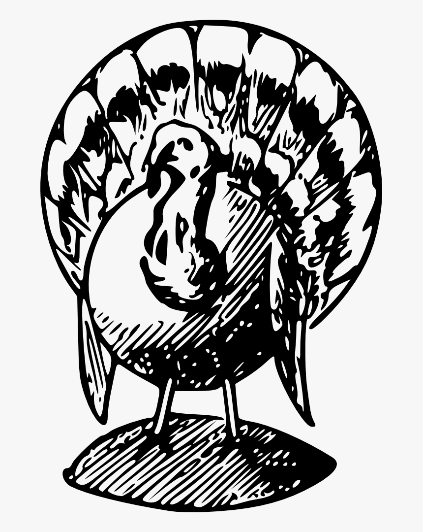Turkey Bw - Transparent Black And White Turkey Clipart, HD Png Download