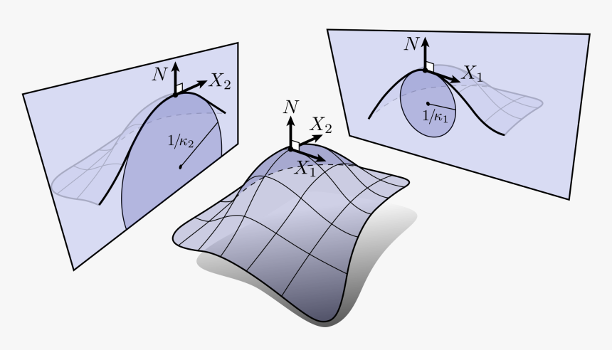 Enter Image Description Here - Curvature Principal Directions, HD Png Download