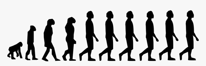Human Evolution Png, Transparent Png