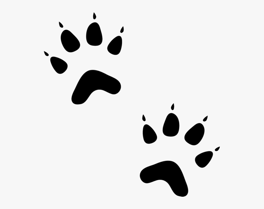 Cat Animal Paw Prints, HD Png Download