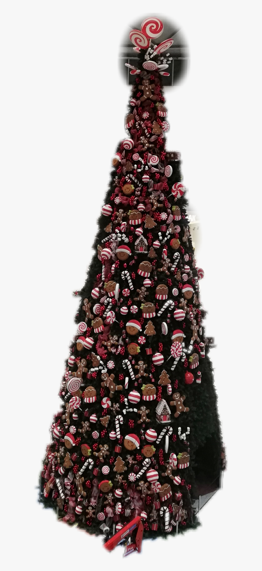 #arboldenavidad - Christmas Tree, HD Png Download