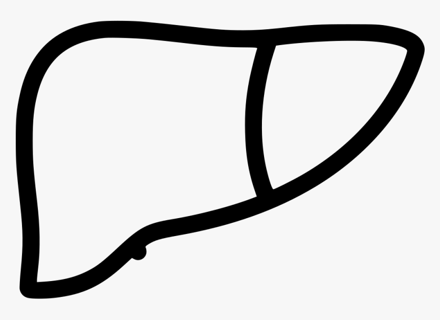 Liver, HD Png Download