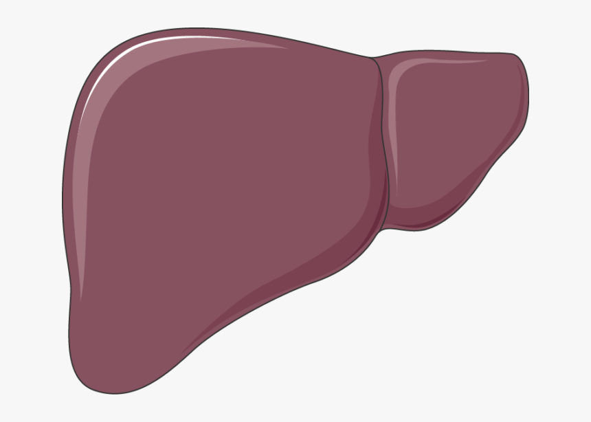 Clip Art, HD Png Download