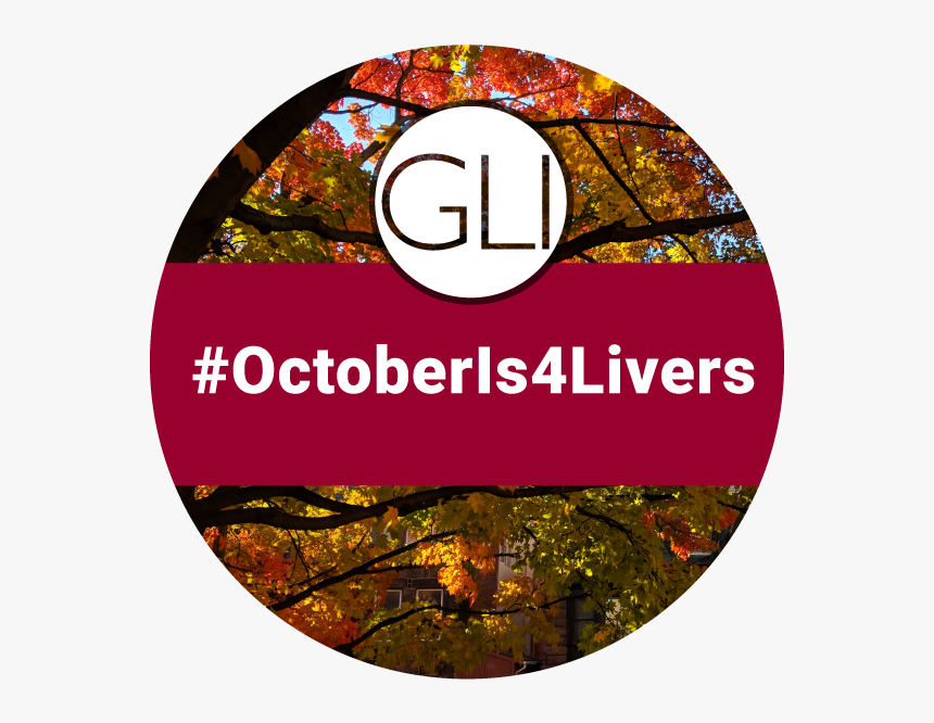 Oi4l Logo Circle - Circle, HD Png Download