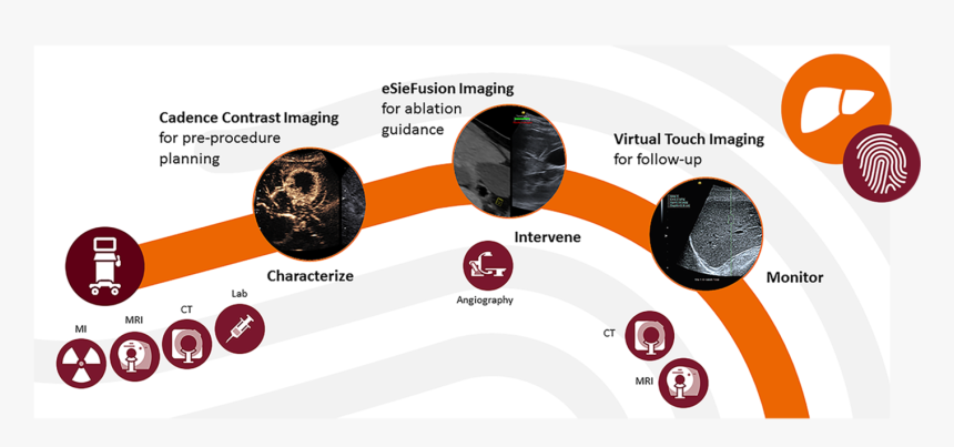 Personalized Liver Ultrasound - Siemens Liver Lab, HD Png Download