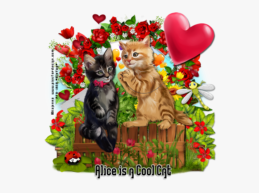 Alice Is A Cool Cat Give - Kitten, HD Png Download