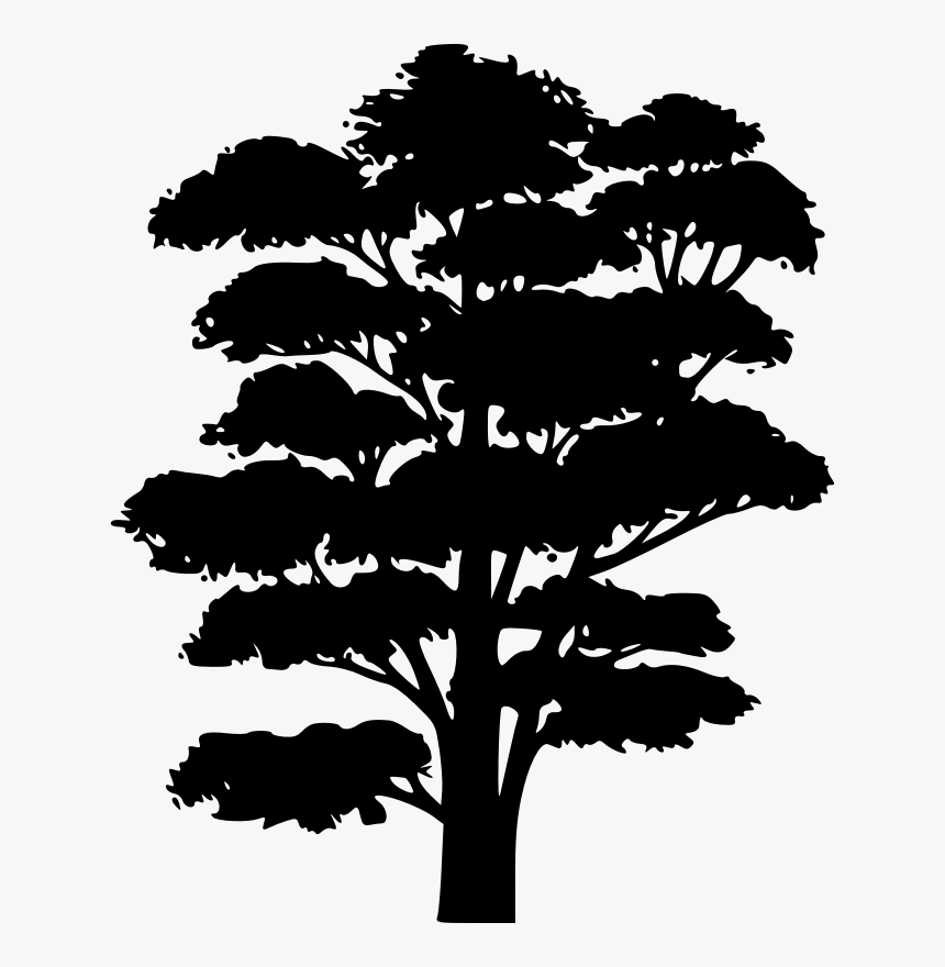 Clip Art Silhouette Tree Branch Oak - Tree Drawing Silhouette Black And White, HD Png Download