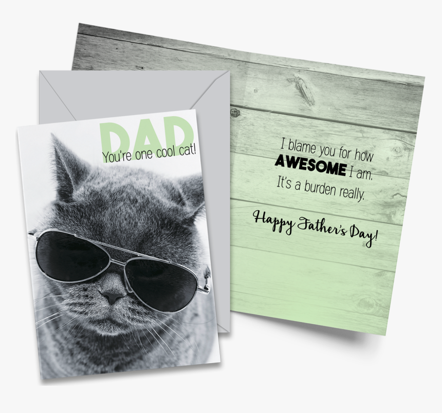 Cat Wearing Aviator Glasses, HD Png Download