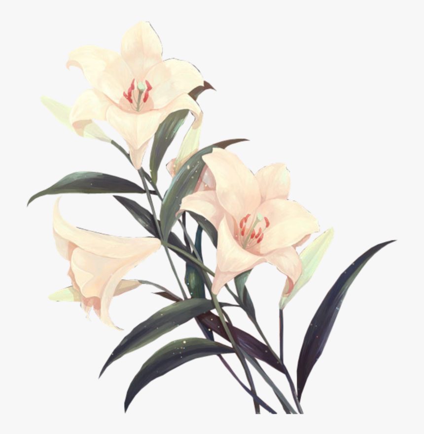 Flower Png I Used Most On My Edits - Flower, Transparent Png