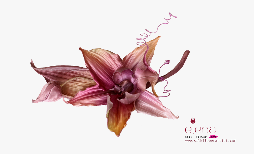 Fabric Flower Png Photo, Transparent Png