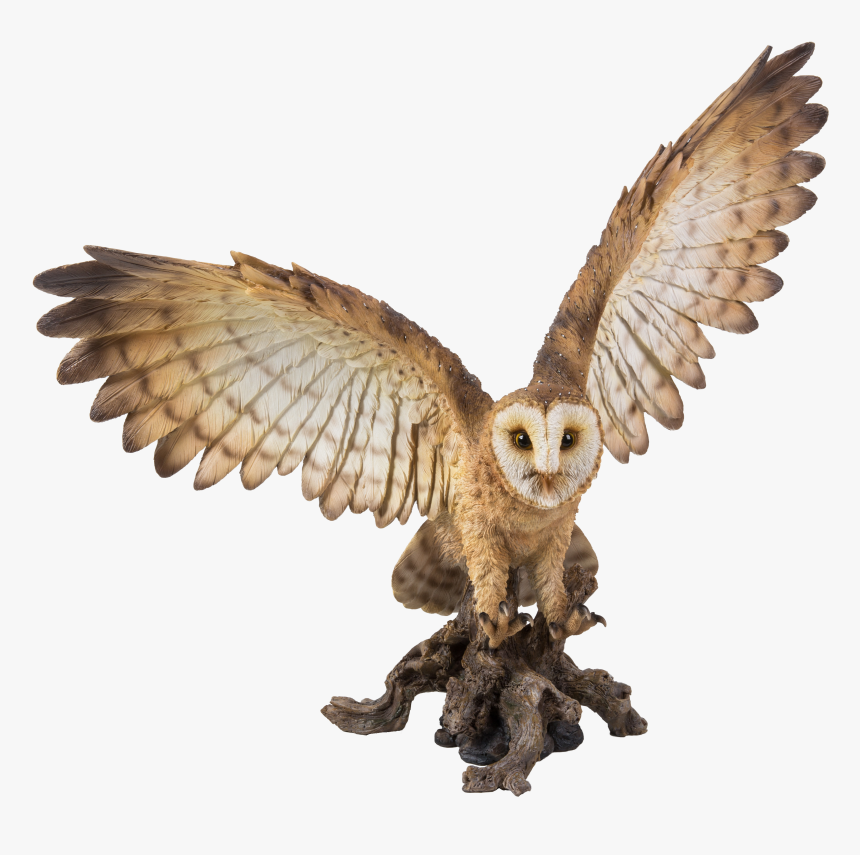 Realistic Fairy Wings Png, Transparent Png