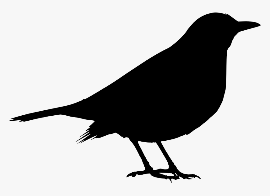 Black Bird Svg, HD Png Download