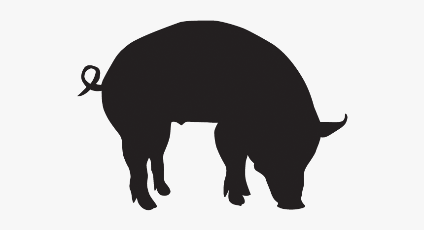 Antibiotic Use On Factory Farms, HD Png Download