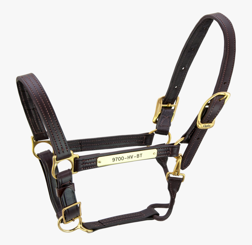 Halter, HD Png Download