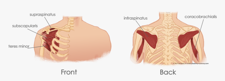 Diagram, HD Png Download