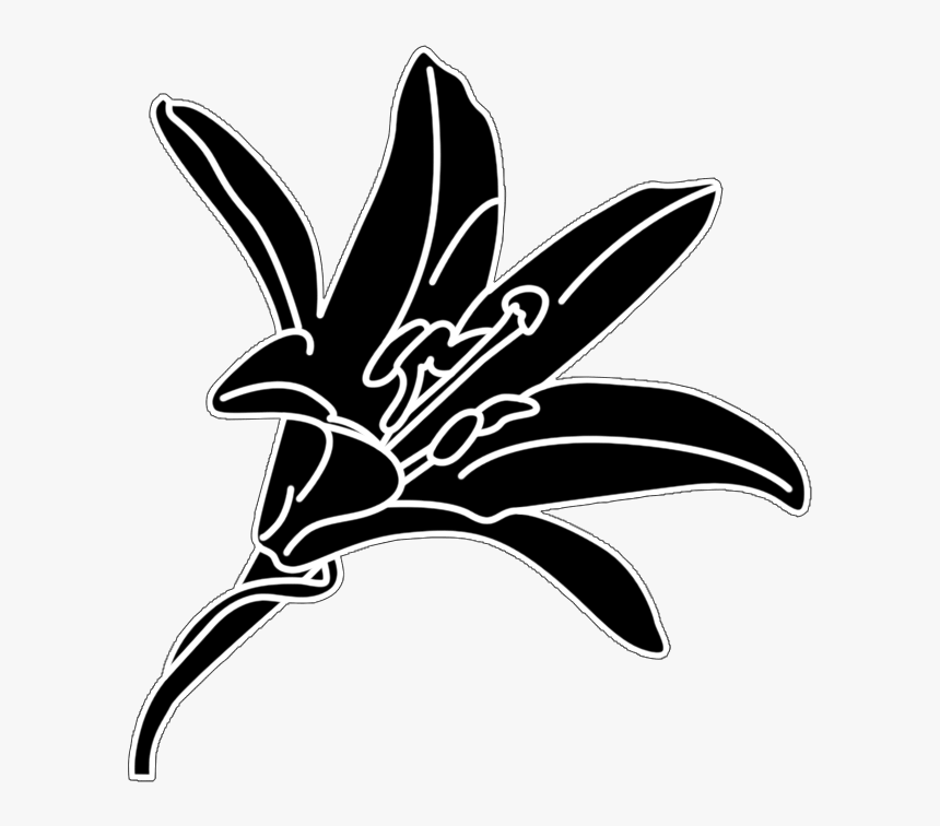 Flower Silhouette Of Lilly - Lily, HD Png Download