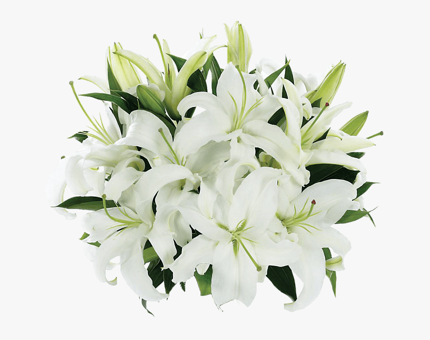 Bouquet Of Lily Flowers, HD Png Download