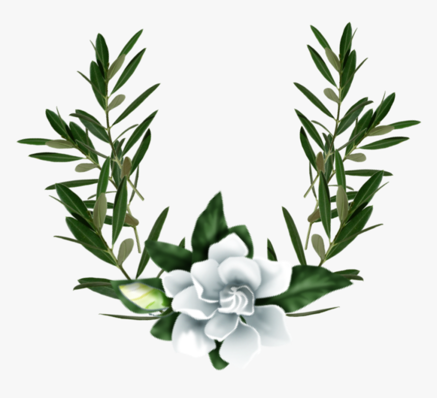 Jasmine , Png Download - Jasmine, Transparent Png