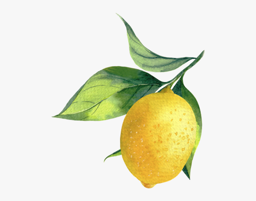 Sweet Lemon, HD Png Download