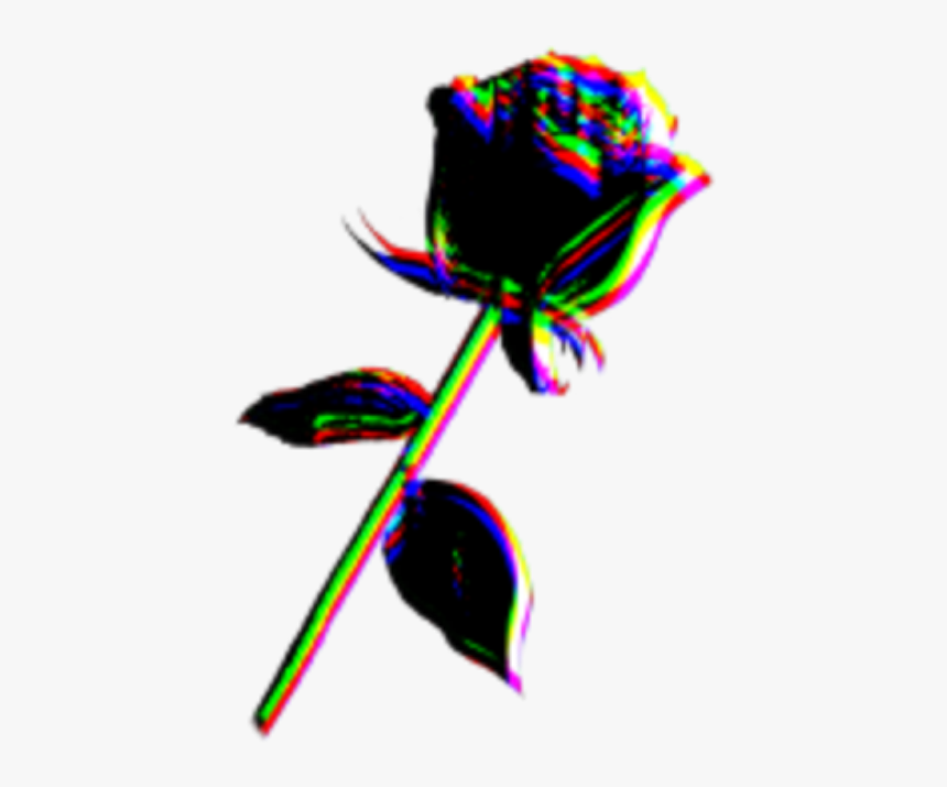 Garden Roses, HD Png Download