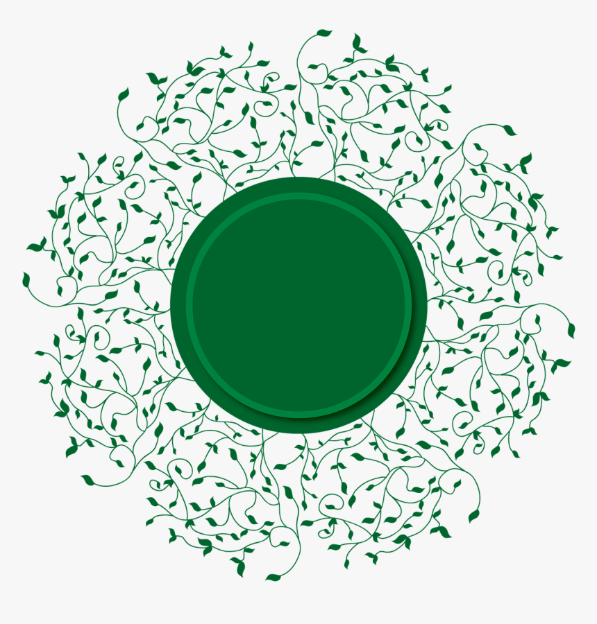 Vine Decorative Borders , Png Download - Flower Outline With Transparent Background, Png Download