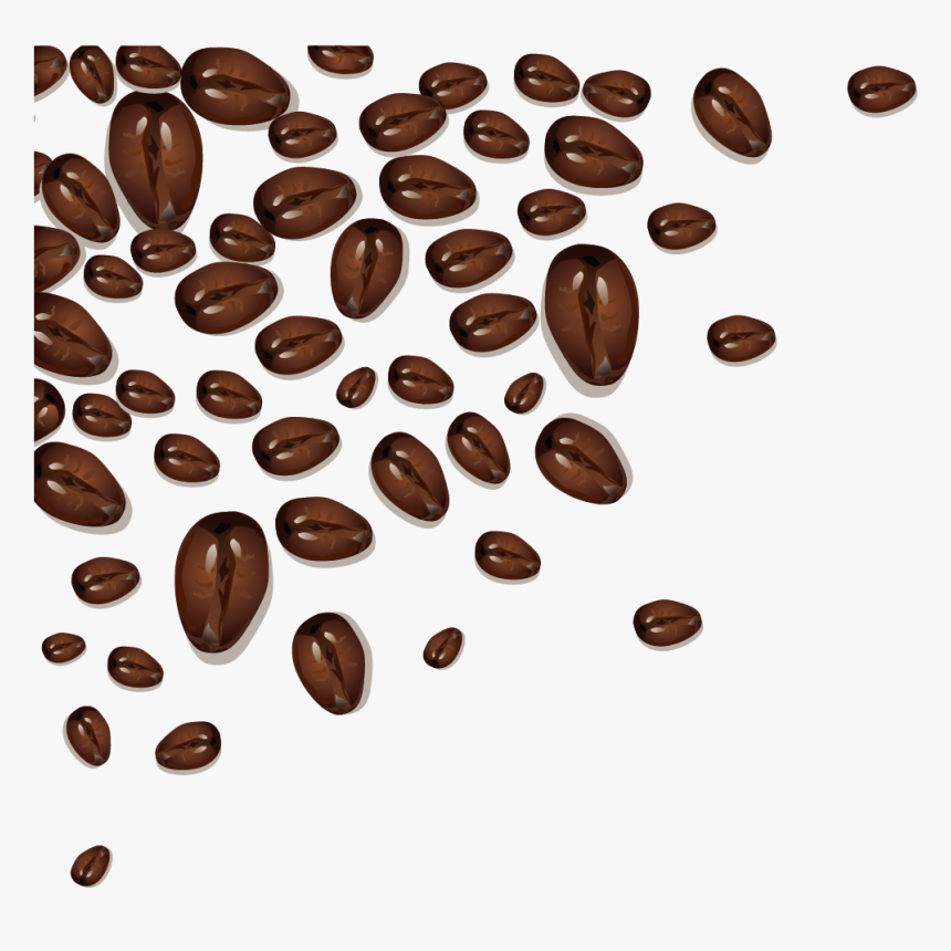 Coffee Bean Cafe Cocoa Bean Cocoa Bean Clipart, HD Png Download