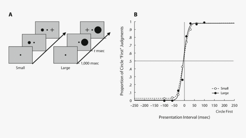 Temporal Order Judgment Task, HD Png Download