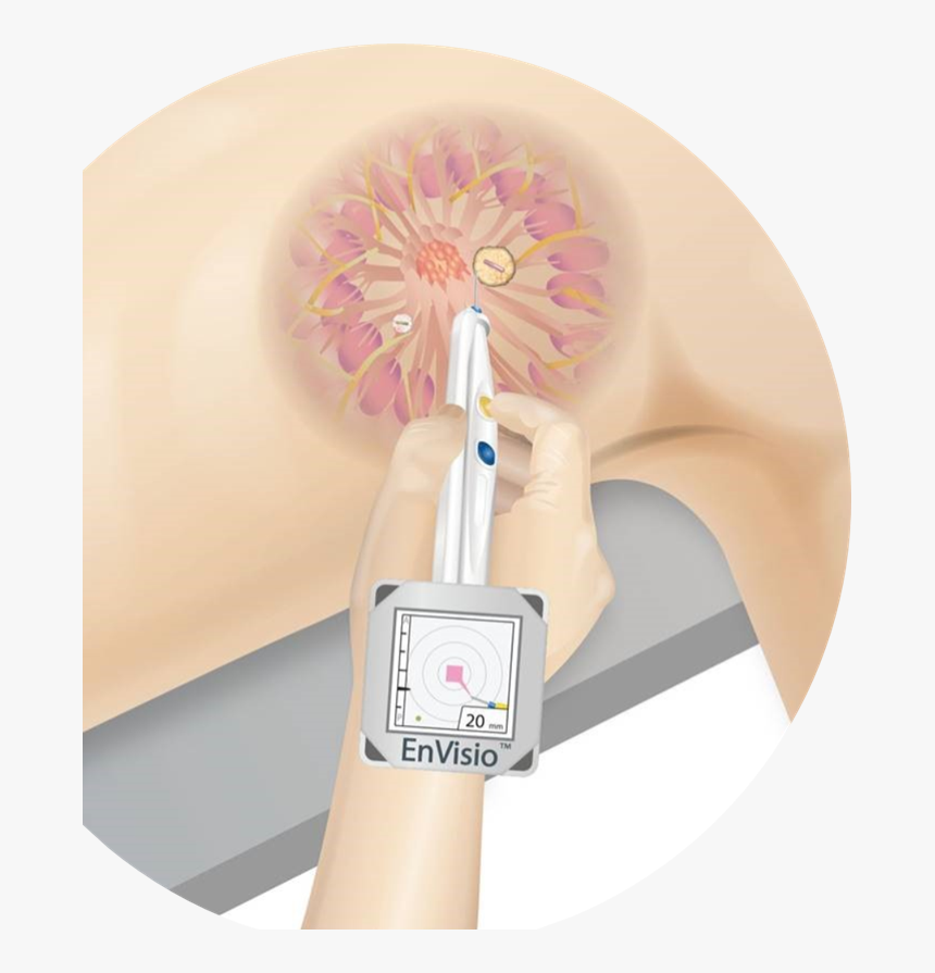 An Illustration Showing How The Elucent Device Pinpoints - Floral Design, HD Png Download