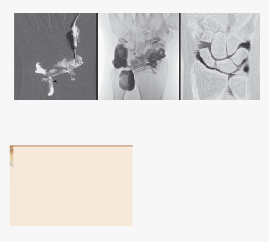 Visual Arts, HD Png Download